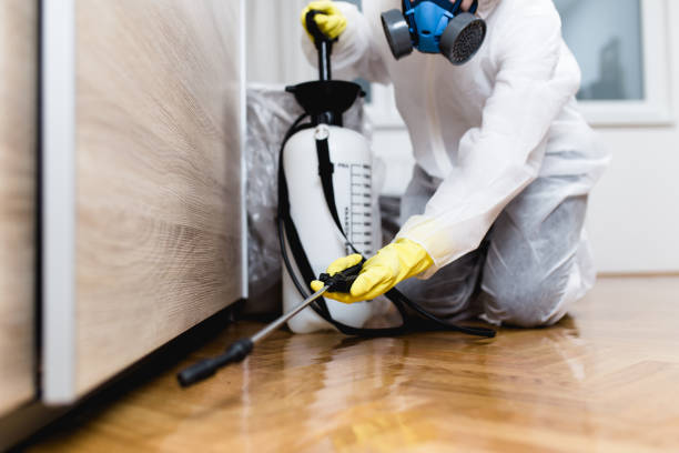 Best Mosquito Control Services  in Nashua, IA