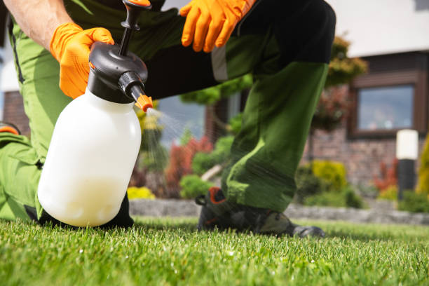 Best Affordable Exterminators  in Nashua, IA
