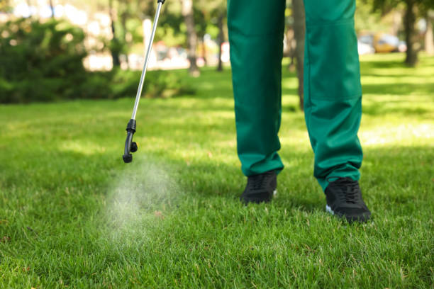 Trusted Nashua, IA Pest Control Experts