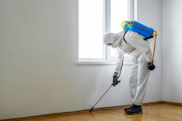 Best Residential Pest Control  in Nashua, IA