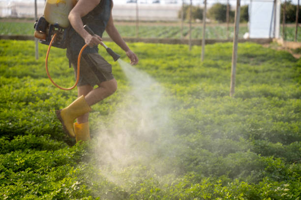 Best Pest Control for Businesses  in Nashua, IA