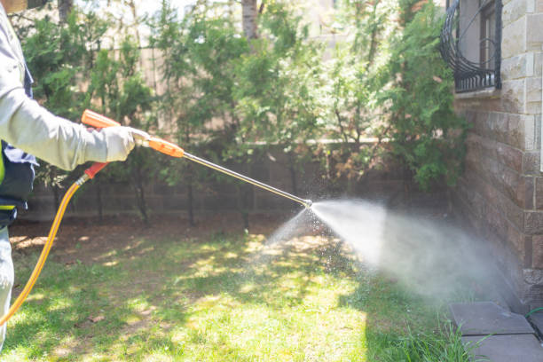 Best Pest Control Near Me  in Nashua, IA