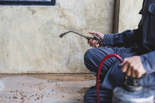 Best Emergency Pest Control  in Nashua, IA