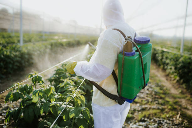 Best Emergency Pest Control  in Nashua, IA